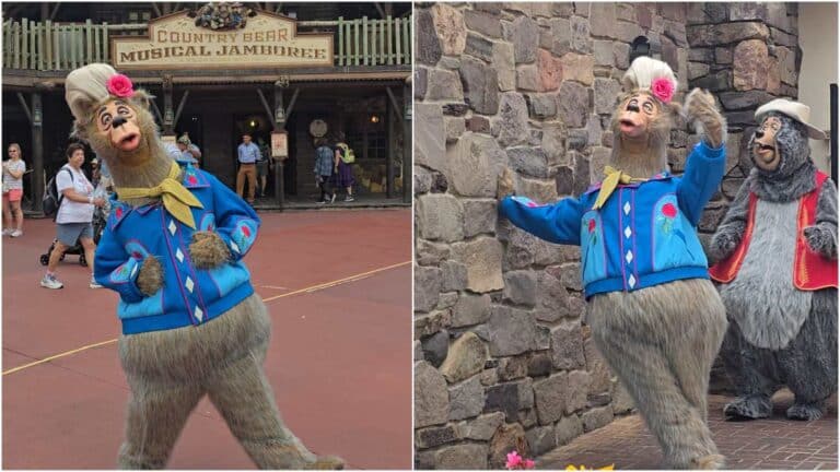 Country Bear Romeo McGrowl Debuts at Magic Kingdom