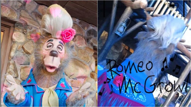 New Country Bear Coming to Frontierland! Romeo McGrowl Meet and Greet at Disney's Magic Kingdom