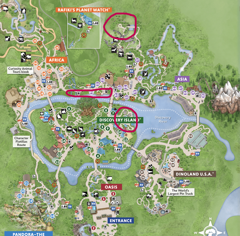 Family Guide to Disney's Cool Kids Summer at Disney's Animal Kingdom