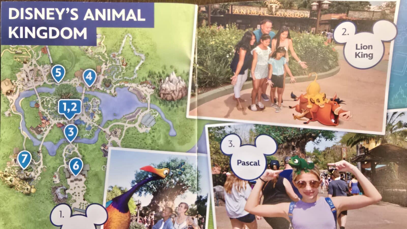 Disney PhotoPass Magic Shot Booklet Disney's Animal Kingdom