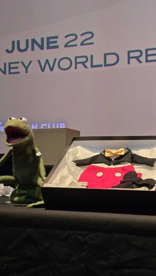 Robin Muppet