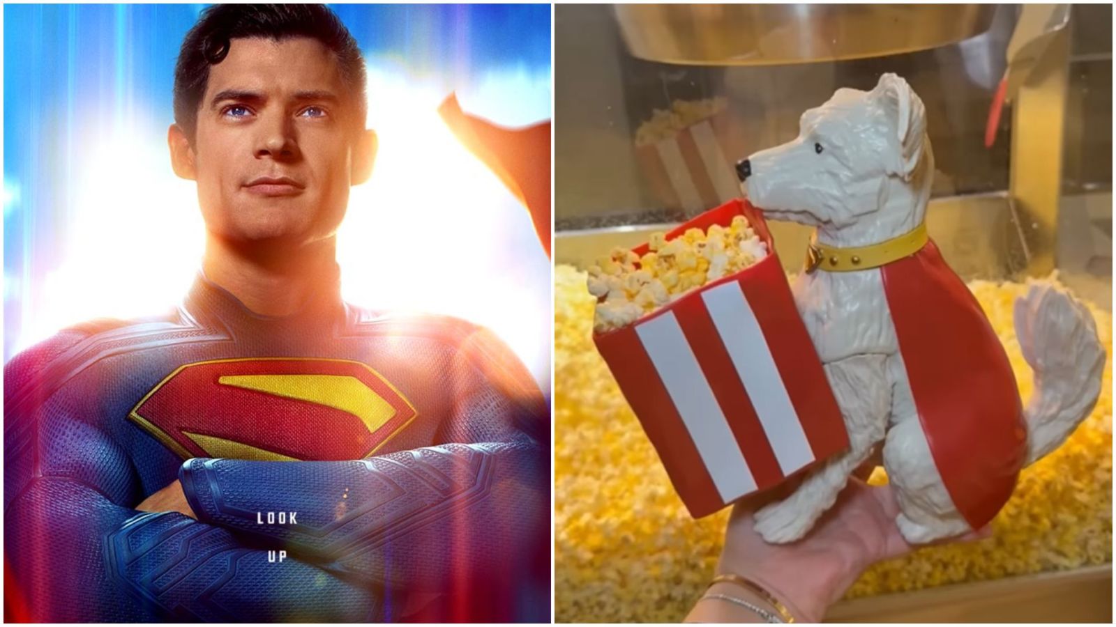Cinemark Theaters Superman Popcorn Buckets Featuring Krypto the Superdog Now Available