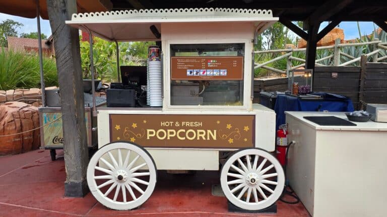July 2025: What Must-Have Popcorn Buckets are Available at Disney World?
