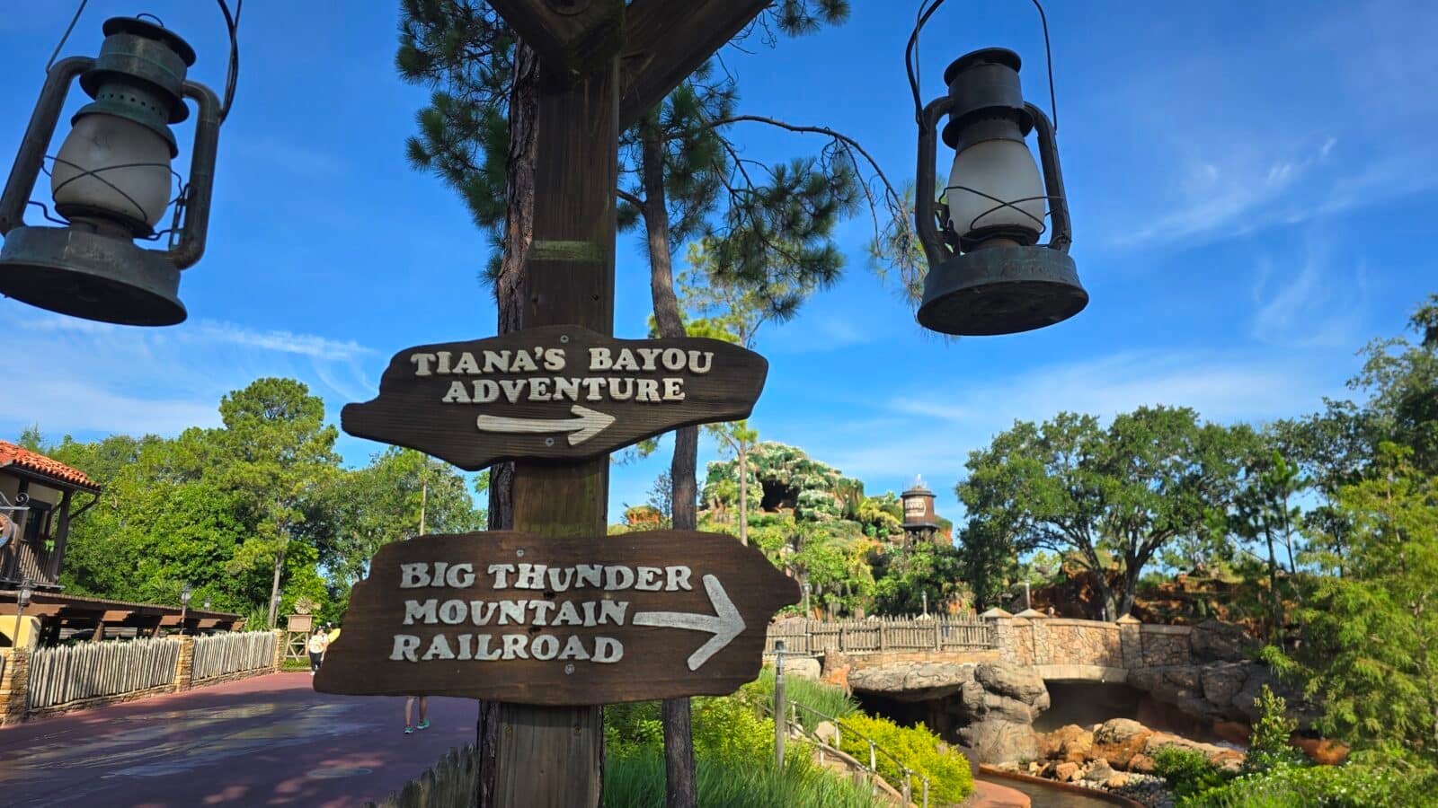 Forget Disney World's Wall-cot! Welcome to Wall-tierland!