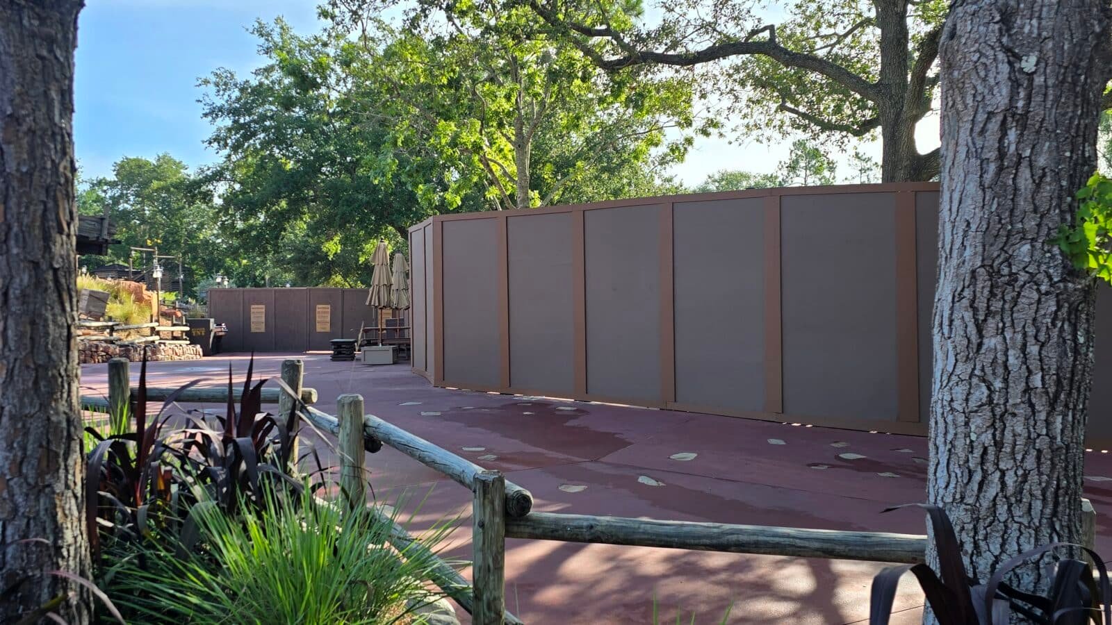 Forget Disney World's Wall-cot! Welcome to Wall-tierland!