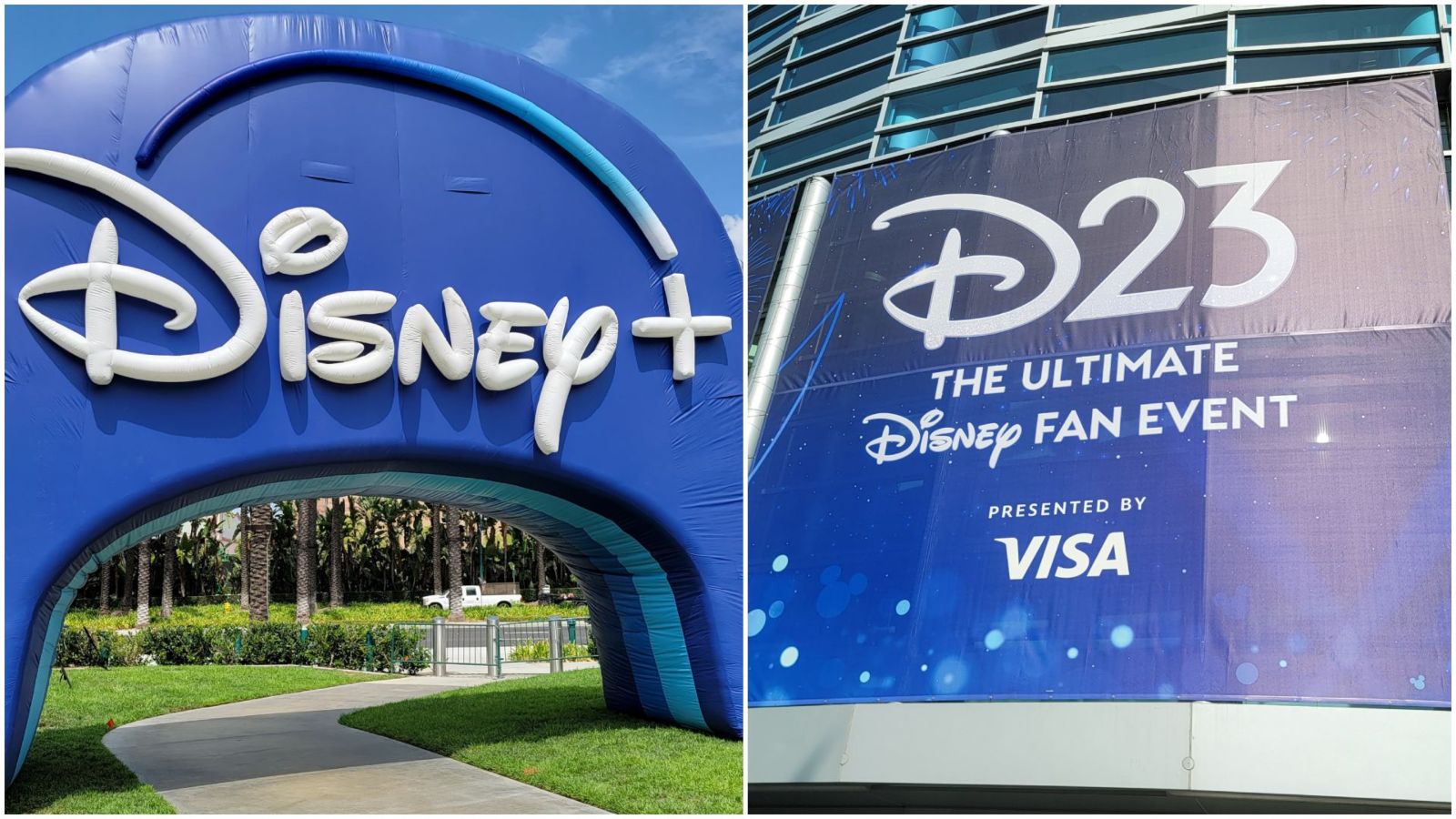 Disney+ Subscribers Is This the BEST Perk Yet Limited Time D23 Gold Membership