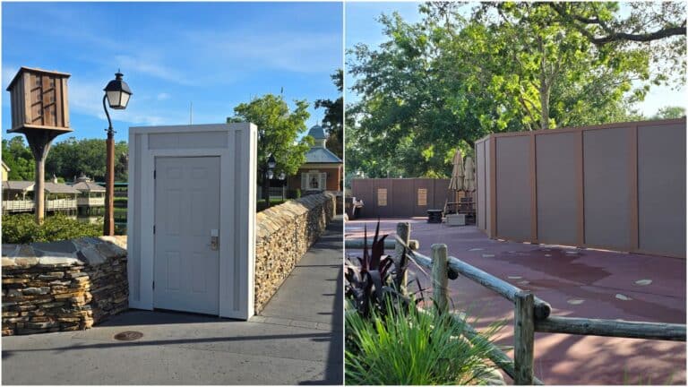 Forget Disney World's Wall-cot! Welcome to Wall-tierland!