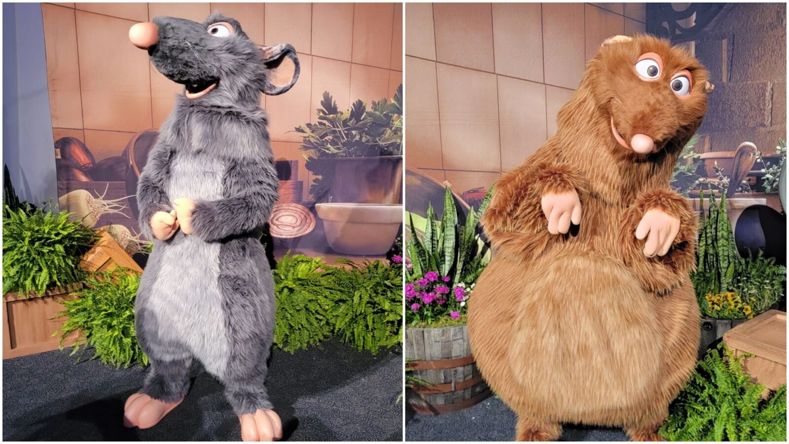 Limited Time Breakfast Buffet Experience Coming to Walt Disney World