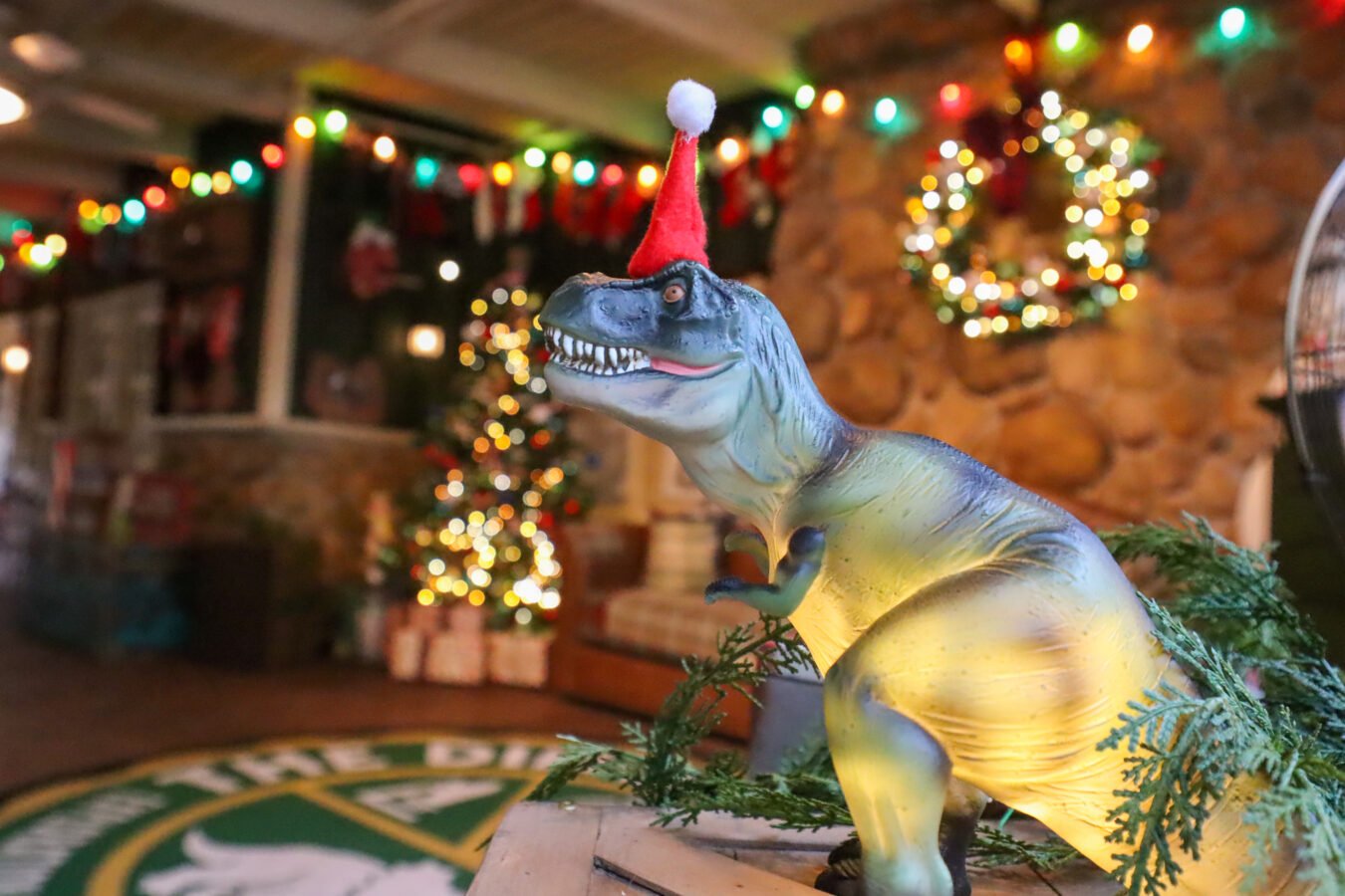 How and Where to Meet Santa at Disney World in 2025 Disney Holidays 2025 Animal Kingdom