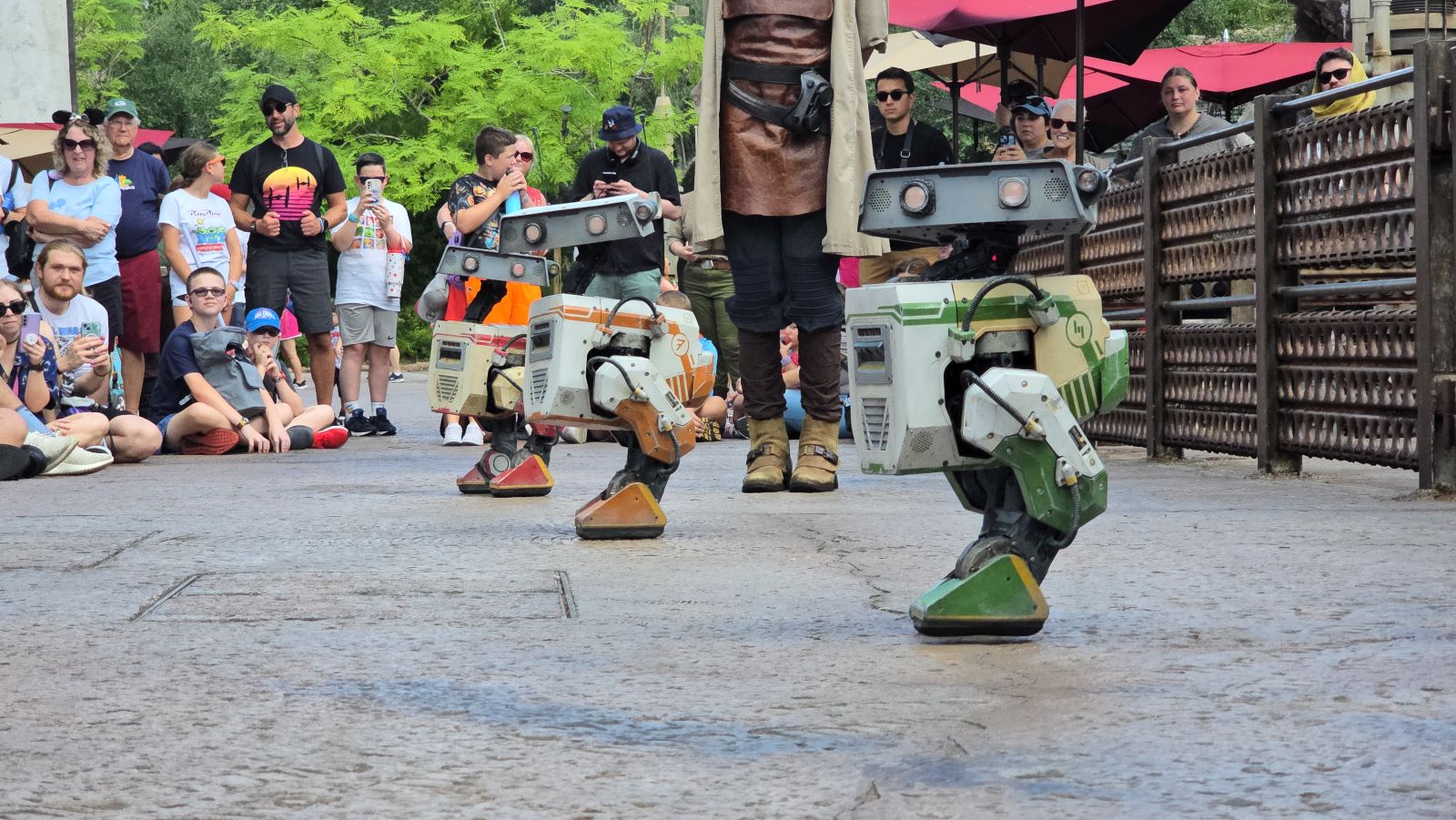 Star Wars BDX Droids Landed at Walt Disney World Video  Images