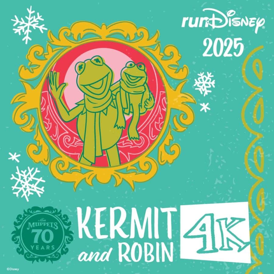 Kermit  Robin 4k