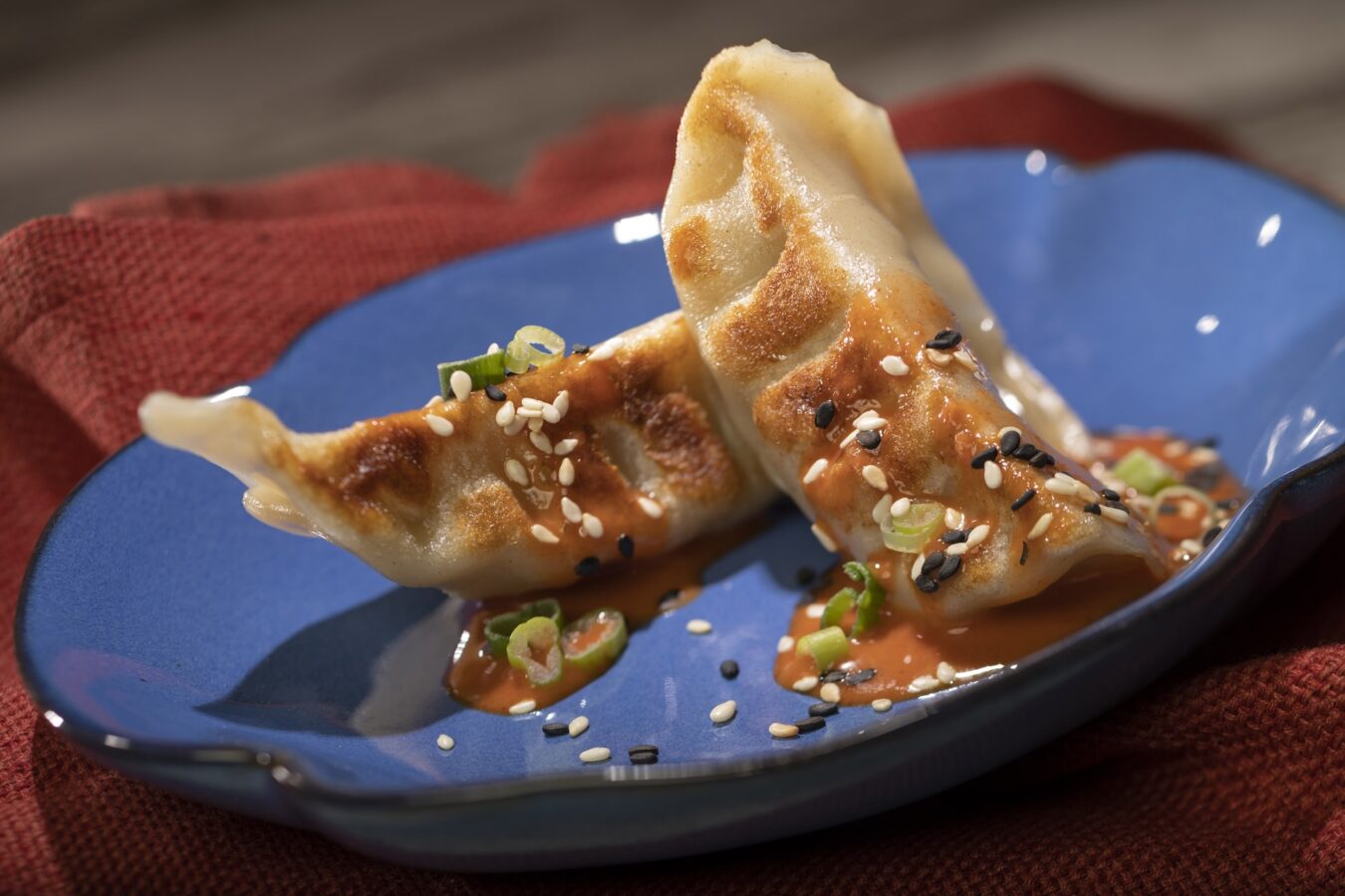 Epcot Food  Wine Festival Global Marketplace Menus 2025 China