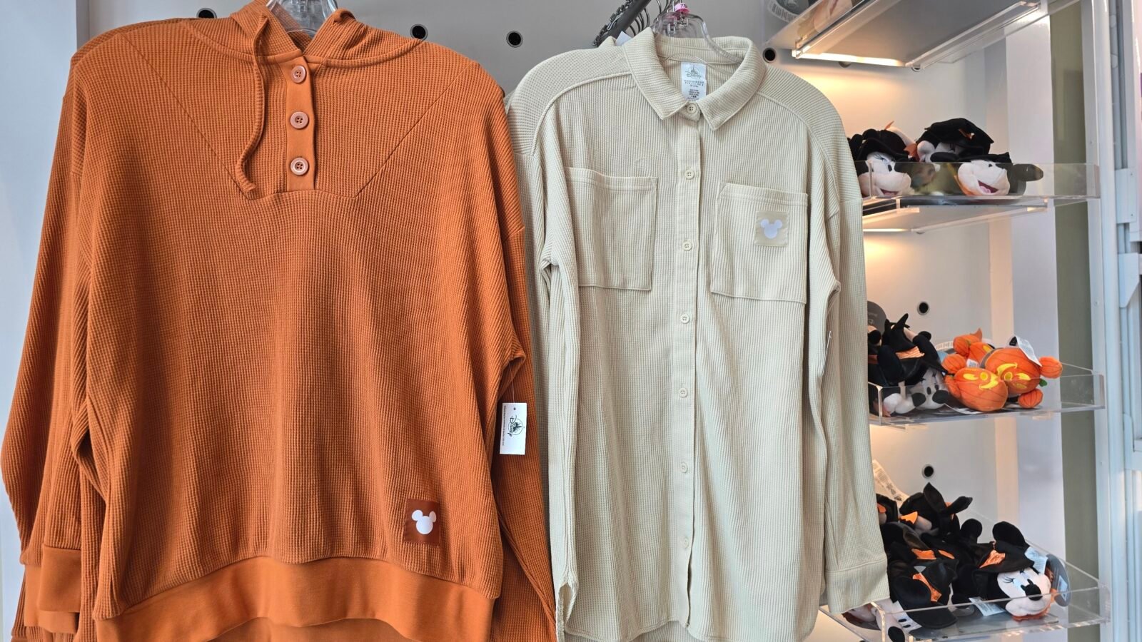 Fall Arrives at Disney World with New Pumpkin Spice and Waffle Collections