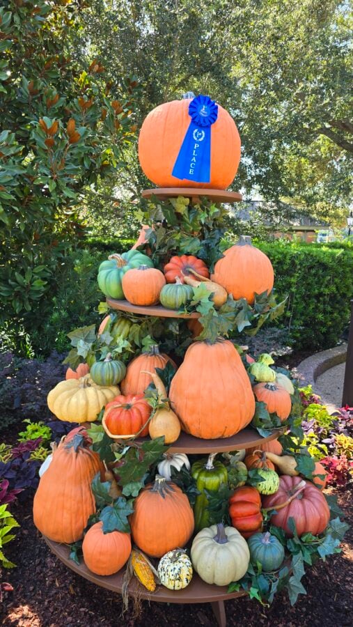 Epcot's Food & Wine Festival Welcomes New Characters to Harvest Hollow
