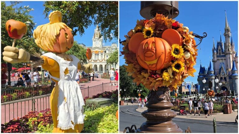 First Look: See the Magic Kingdom's Incredible Overnight Halloween Transformation!