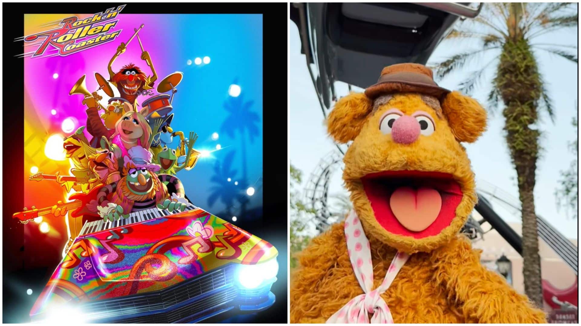 Muppets Officially Acknowledge Rock n Roller Coaster Retheme Thanks to Fozzie Bear