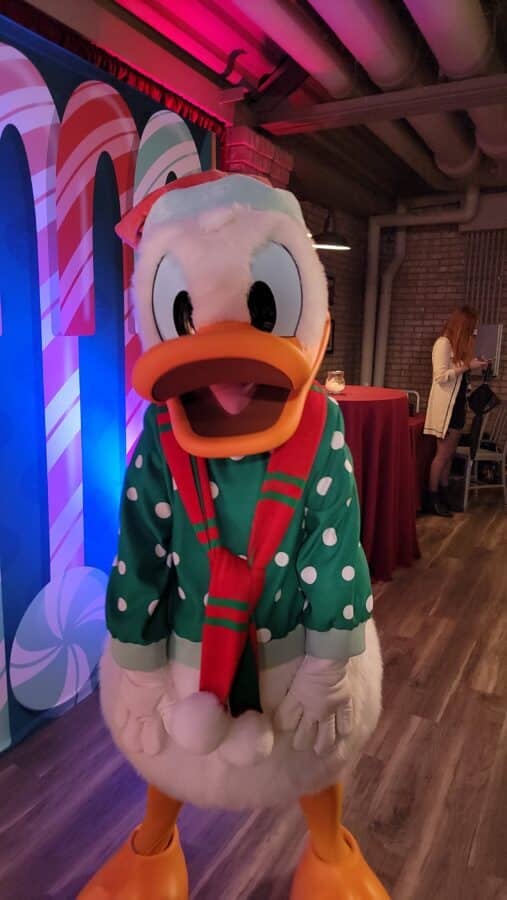 Donald Duck