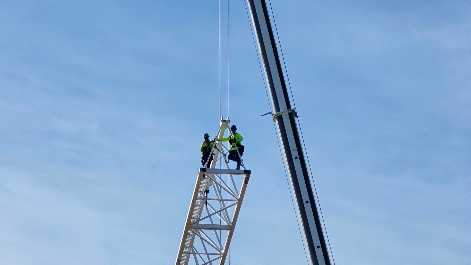 New Disney Animal Kingdom Icon Arrives at Tropical Americas Construction