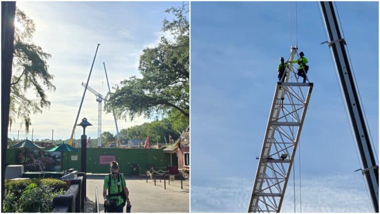 New Disney Animal Kingdom Icon Arrives at Tropical Americas Construction