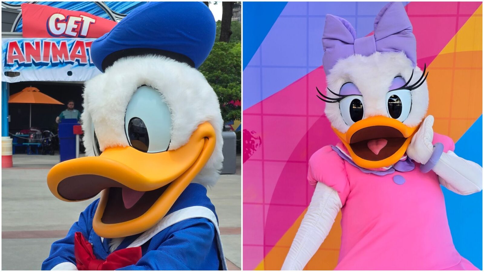 Where Did Your Favorite Character Move to at Disneys Hollywood Studios
