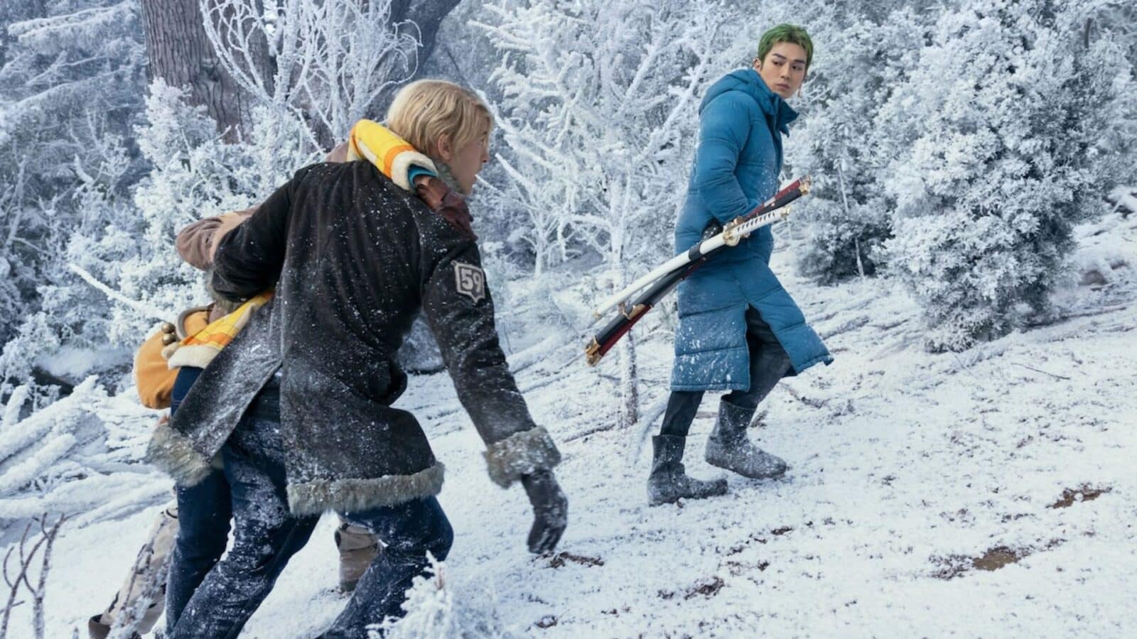 Zoro Sanji and Nami on Drum island