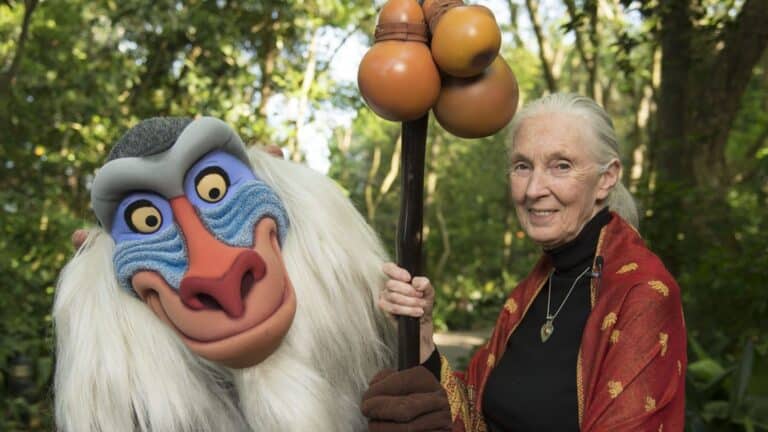 Dr. Jane Goodall, Conservation Icon Who Shaped Disney's Animal Kingdom, Dies at 91