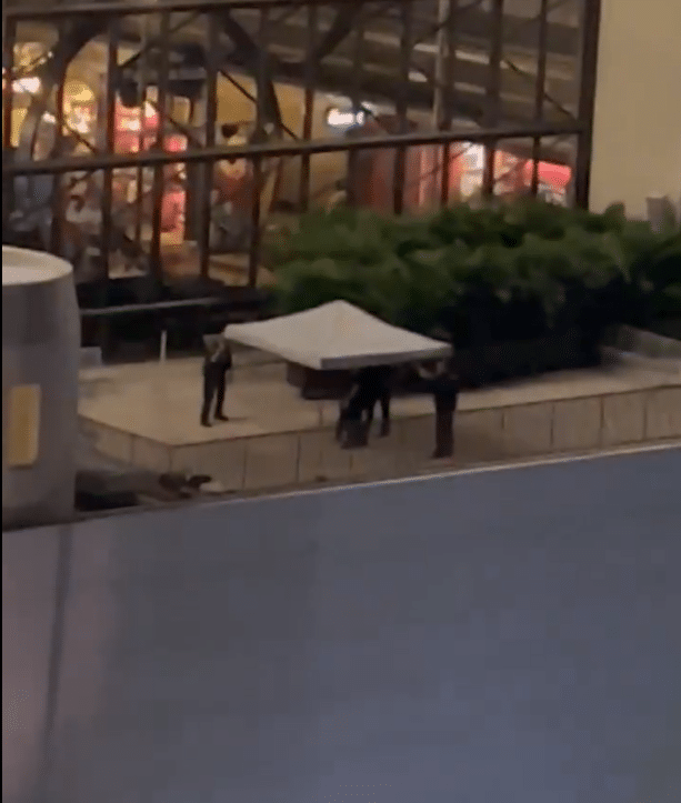 Update Police Responding to Apparent Suicide at The Contemporary Resort Disney World