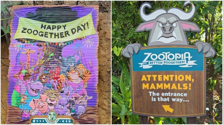Why Do We Celebrate Zoogether Day at Disney's Zootopia Better Zoogether?