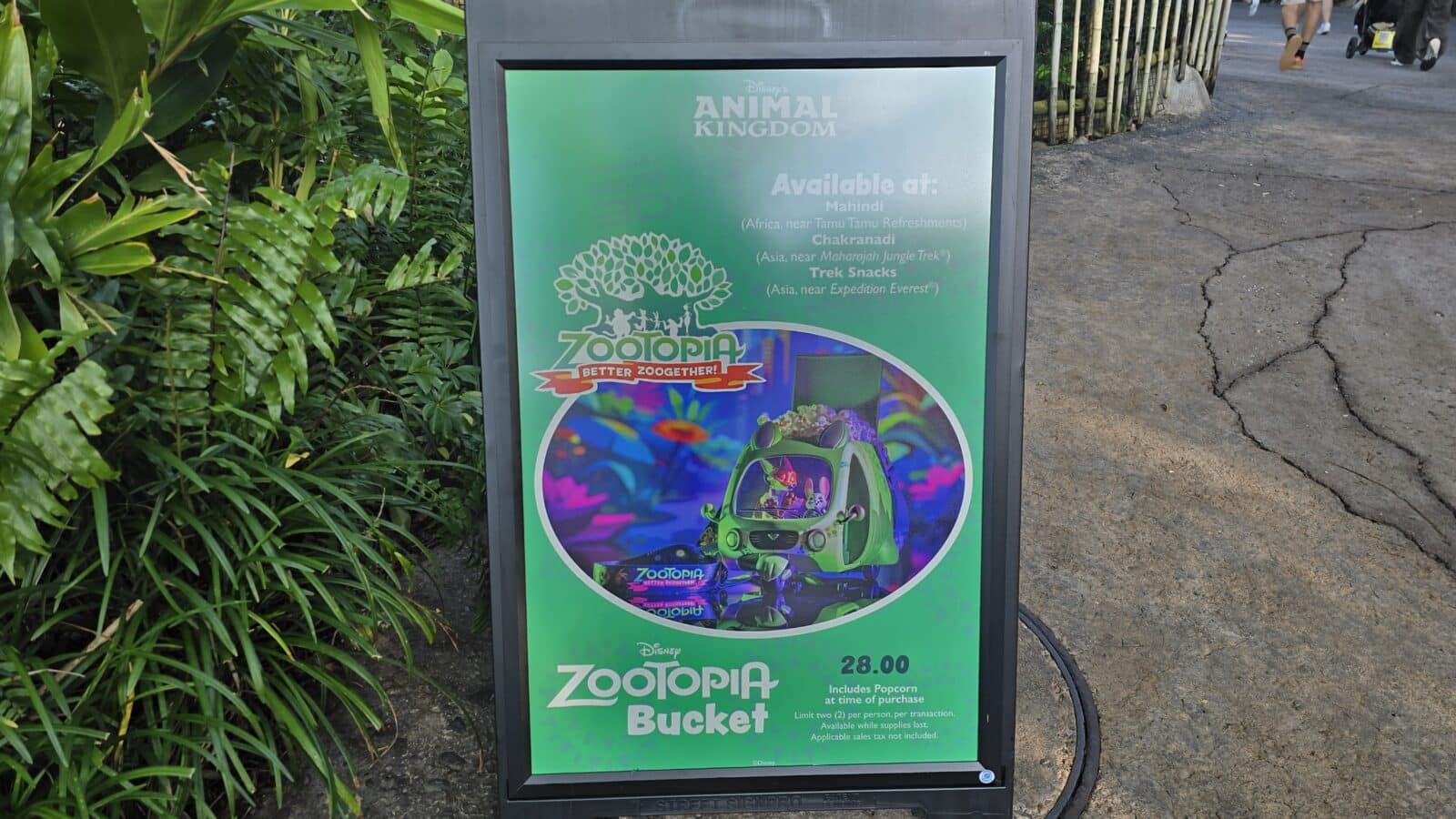 New Zootopia Better Zoogether Day Popcorn Bucket Available  at Disney's Animal Kingdom