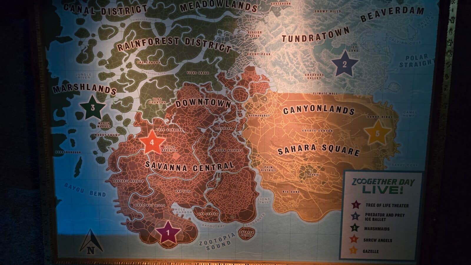 Why Do We Celebrate Zoogether Day at Disney's Zootopia Better Zoogether?