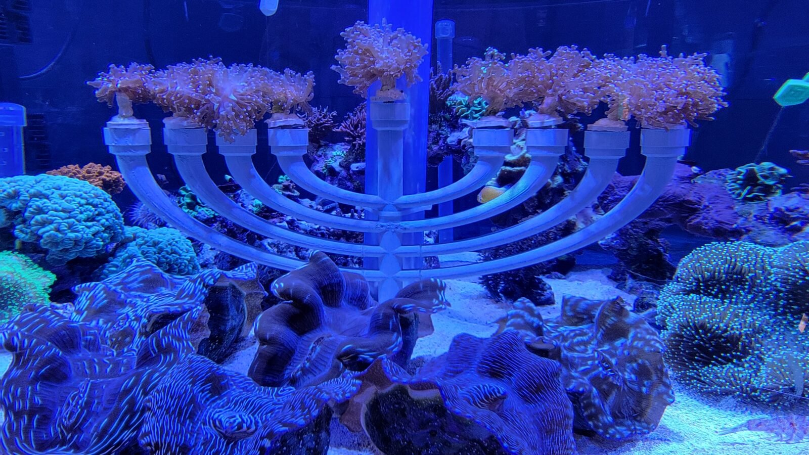 How Jewish Guests Can Celebrate Hanukkah at Walt Disney World in 2025