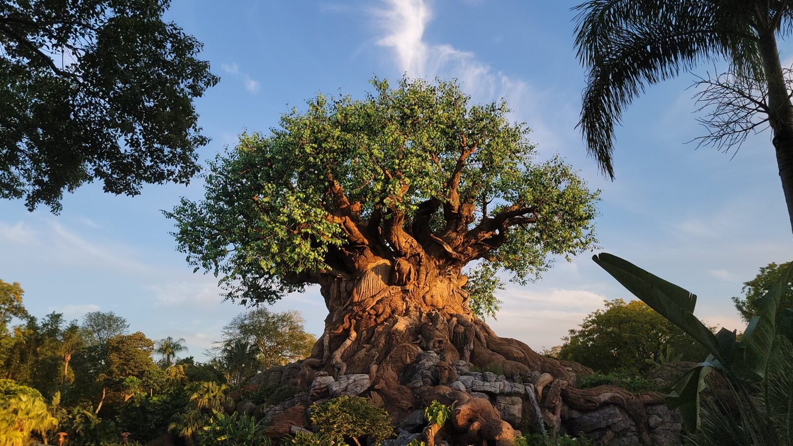 Something is Happening at Disneys Tree of Life