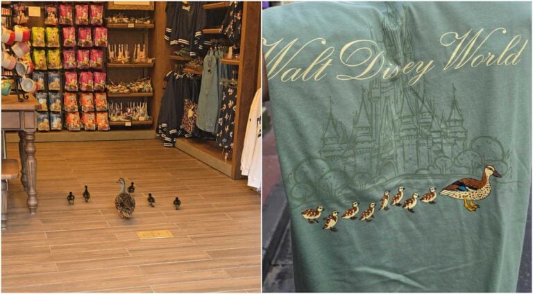 New Viral Disney Ducks Shirt Takes Over Walt Disney World