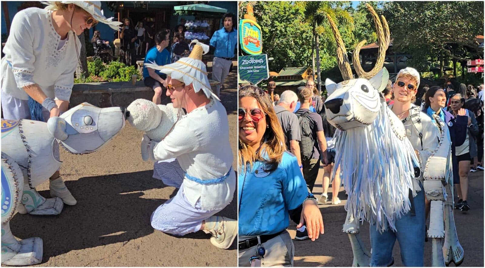 Disneys Merry Menagerie Blends Holiday Magic with Wildlife Conservation