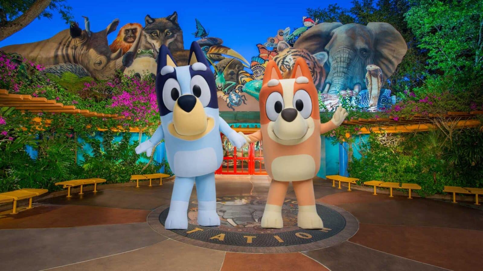 It's Official! Bluey and Bingo are Coming to Walt Disney World's Animal Kingdom Summer 2026