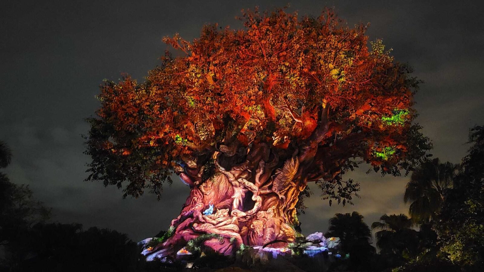 Something is Happening at Disneys Tree of Life