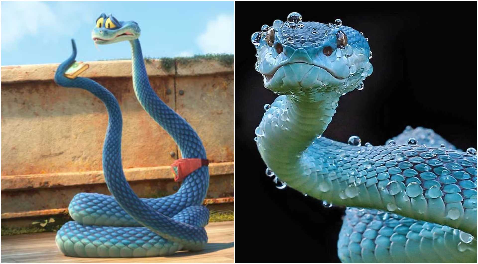 Things Not To Do This Christmas: Buy An Animal Based on a Disney Movie Especially a Blue-Scaled Pit Viper Named Gary De'Snake!