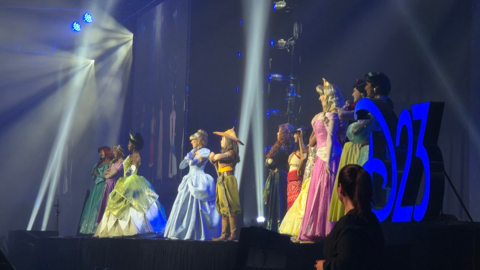 These Are the Only 13 Official Disney Princesses in 2026