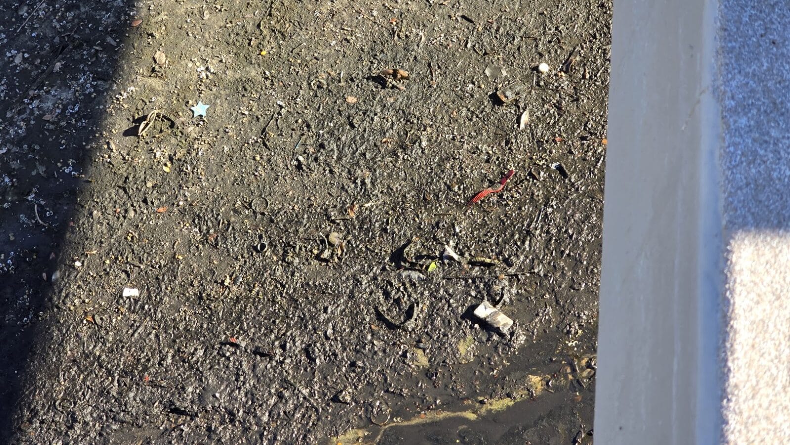 Cinderella's Castle's Moat Gets Drained as it Prepares for Repainting