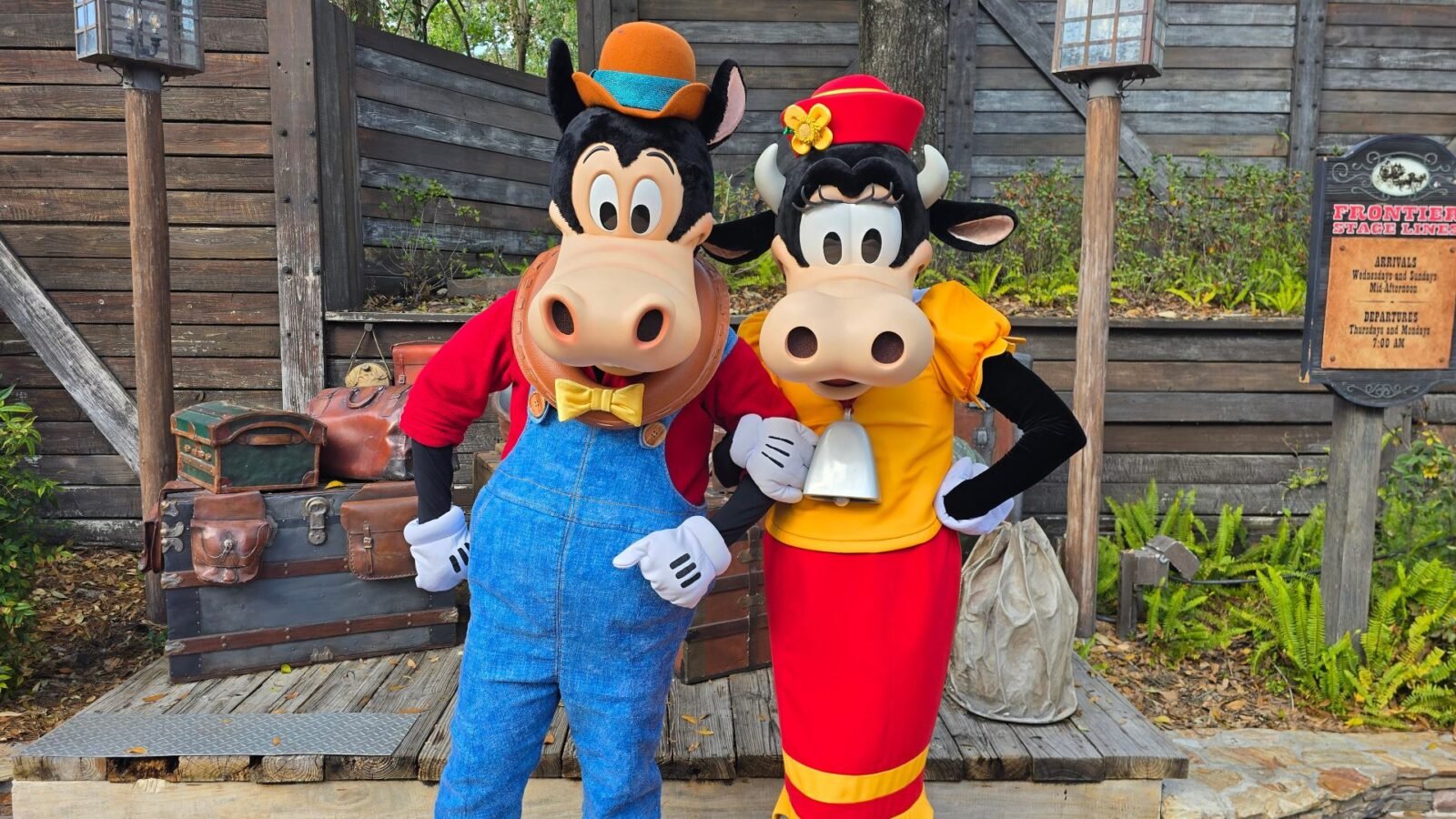 A Barnyard Romance Clarabelle Cow and Horace Horsecollar Celebrate Valentines Day at Magic Kingdom