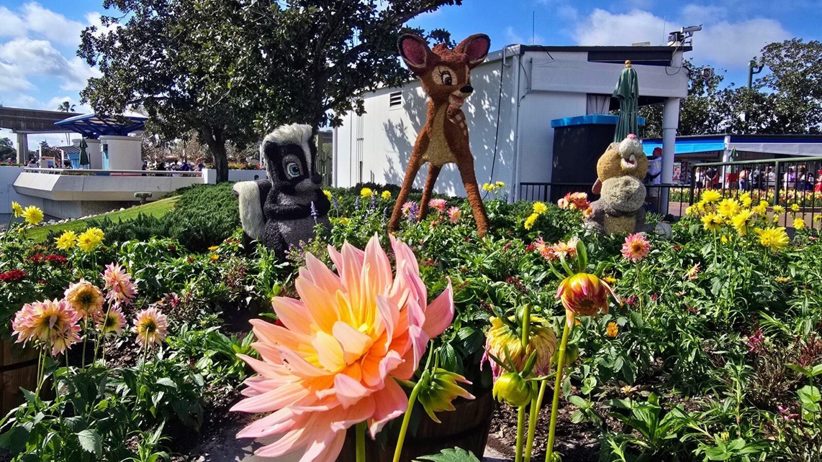 Epcot Blooming Again After Florida Deep Freeze