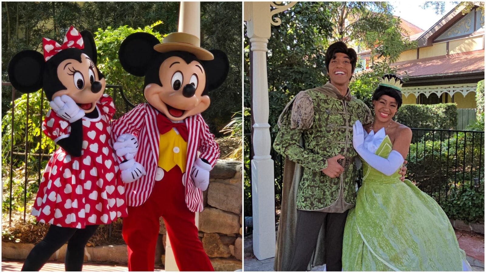 Mickey  Minnie Mouse Valentine's Day 2026