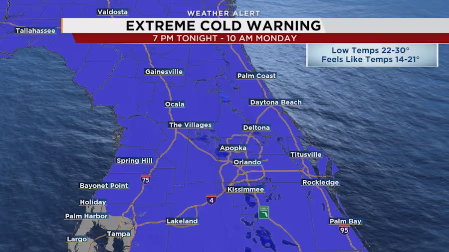 SHNP6SFC2ZBZJDN5TXPTWMXRAM Fantasy Land News Cold Snap Causes Delayed Openings Lightning Lane Cancellations at Disney World