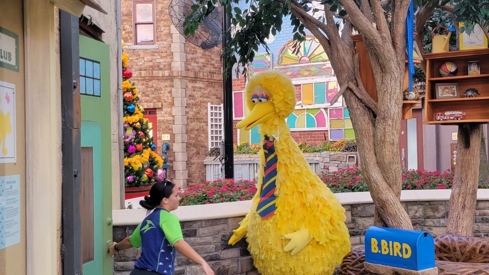 Big Bird at SeaWorld Orlando