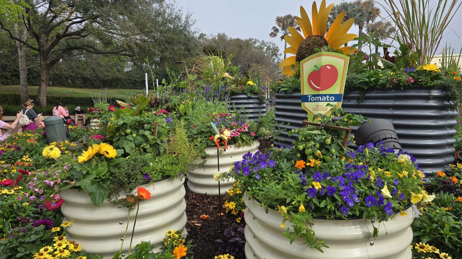 Donald's Community Garden - World Discovery: Tomato