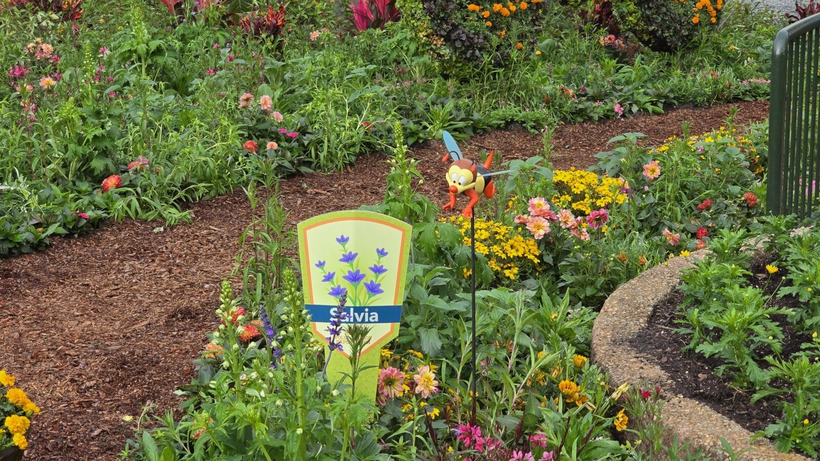 Butterfly Garden   World Nature Salvia