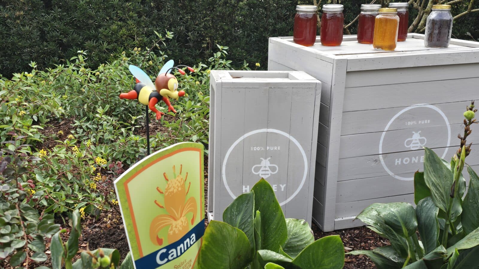 The Honey Bistro   World Showcase Canna