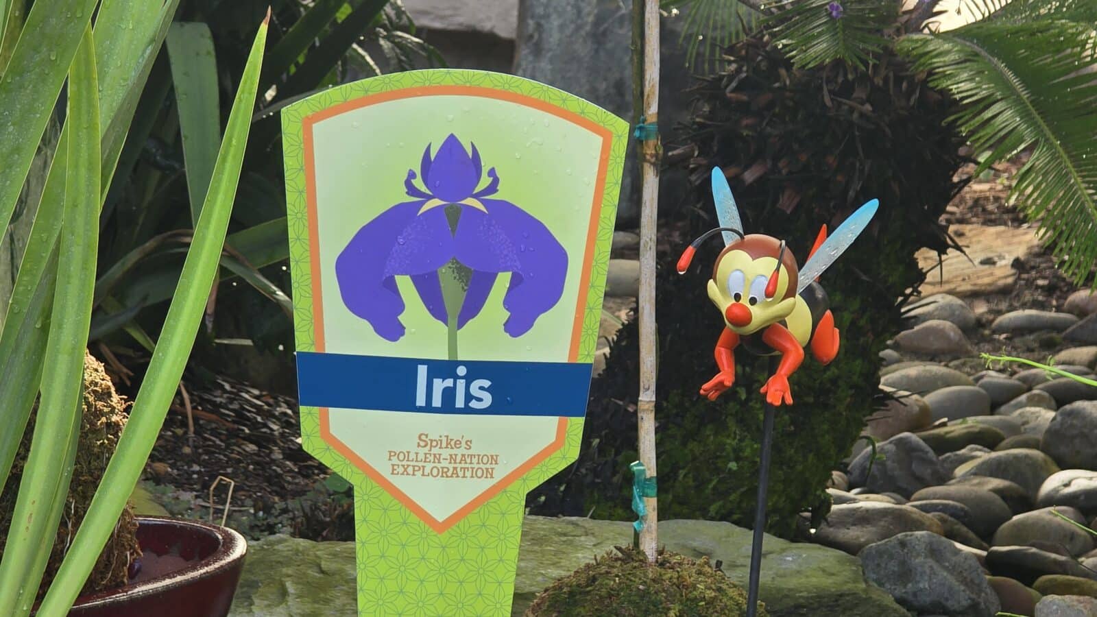 Kokedama Garden   Japan Pavilion Iris