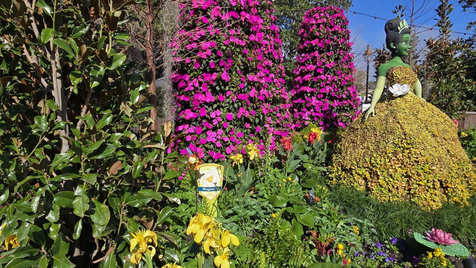 Magnolia Terrace   American Adventures Magnolia