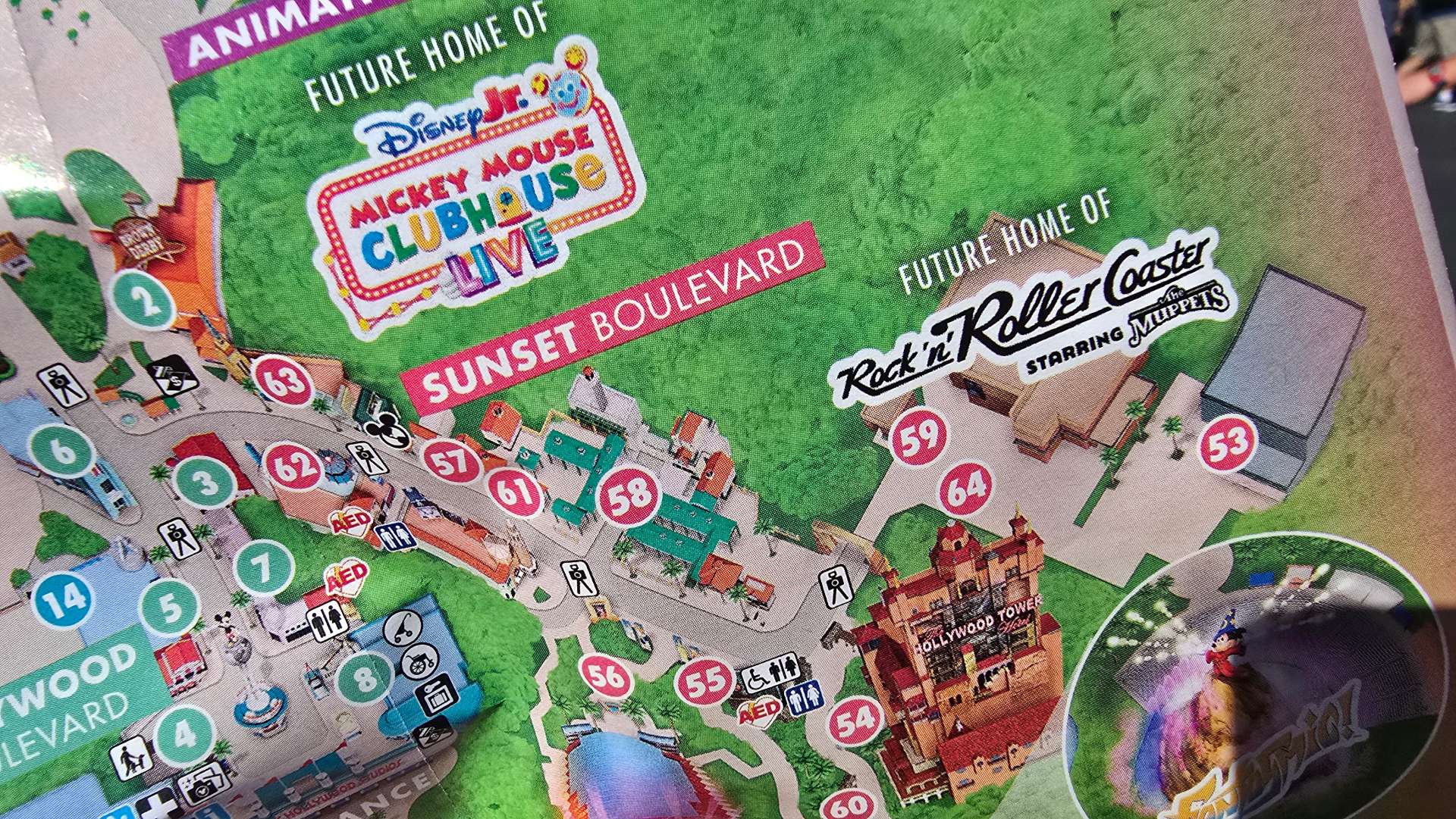 After 267 Days The Muppets Return to Disney's Hollywood Studios